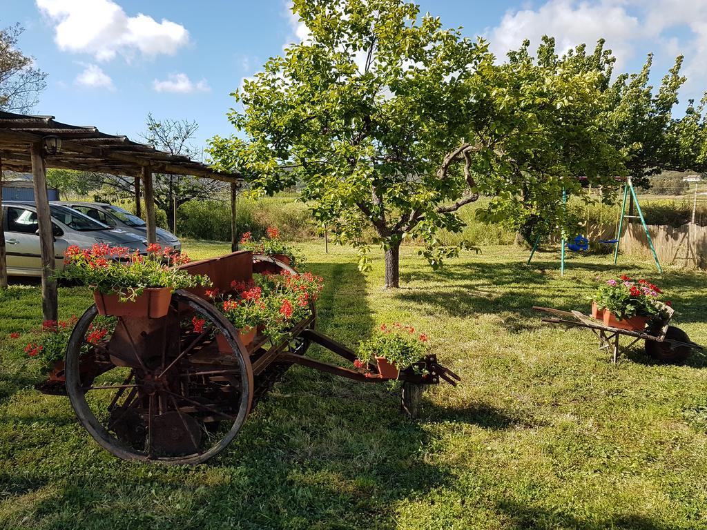 Agriturismo S. Agostino Lejlighed Rocchette  Eksteriør billede